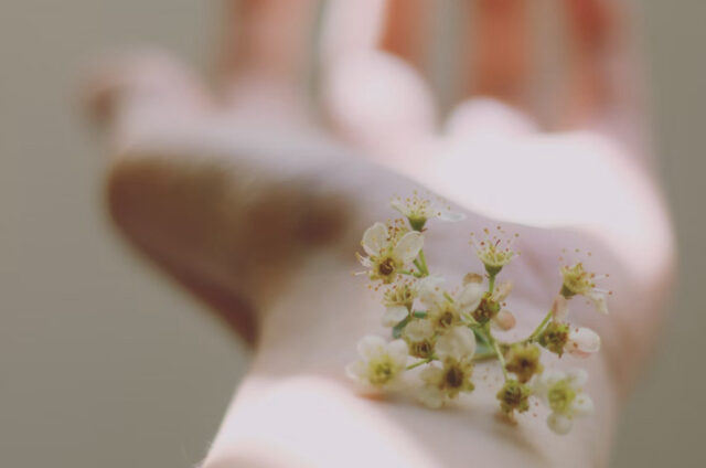 スキンケア画像